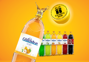 Money prize from "Gulustan - drink and win gift!" lottery